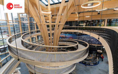 Lignum, la voix suisse du bois